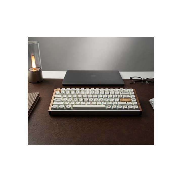 מקלדת אלחוטית מכנית Keychron K2 HE Magnetic Switch RGB בצבע לבן עץ