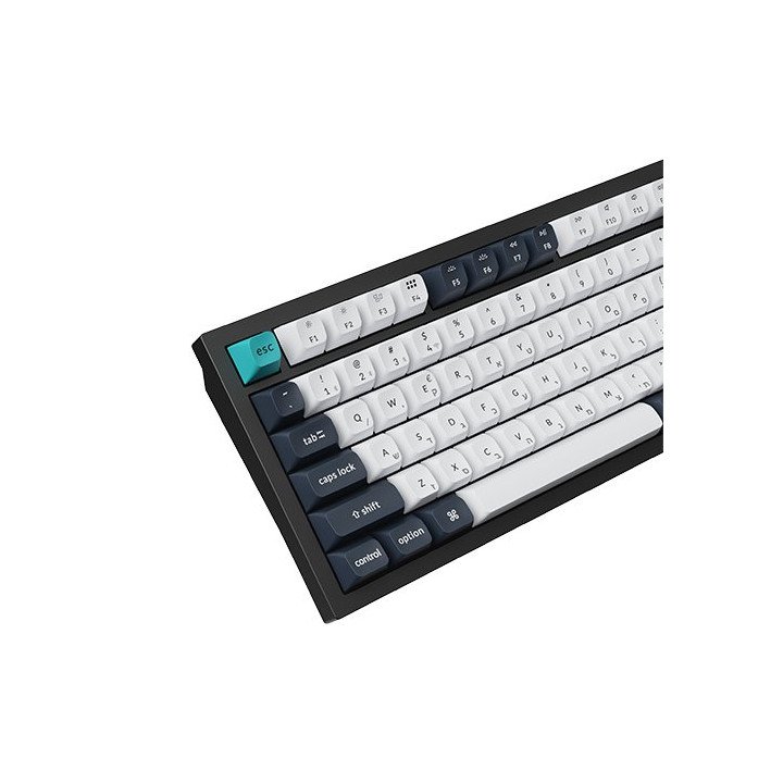 מקלדת אלחוטית מכנית Keychron Q6 Max QMK/VIA Wireless RGB Red Switch עב