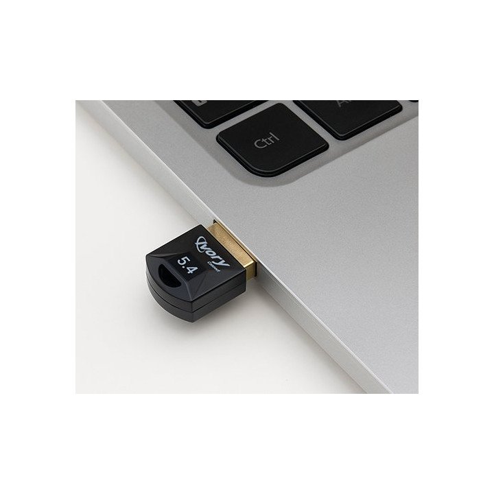 מתאם בלוטוס 5.4 ננו - חיבור USB אלחוטי מהיר למחשבים והתקני בלוטוס - Iv
