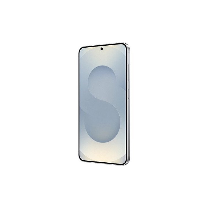 סמסונג גלקסי Samsung Galaxy S25 אפור כסוף  256GB 12GB RAM