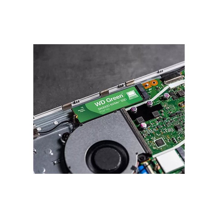 כונן WD Green SN3000 NVMe SSD 500GB