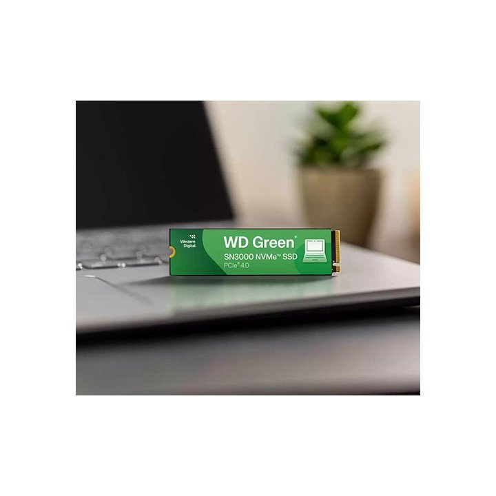 כונן WD Green SN3000 NVMe SSD 500GB