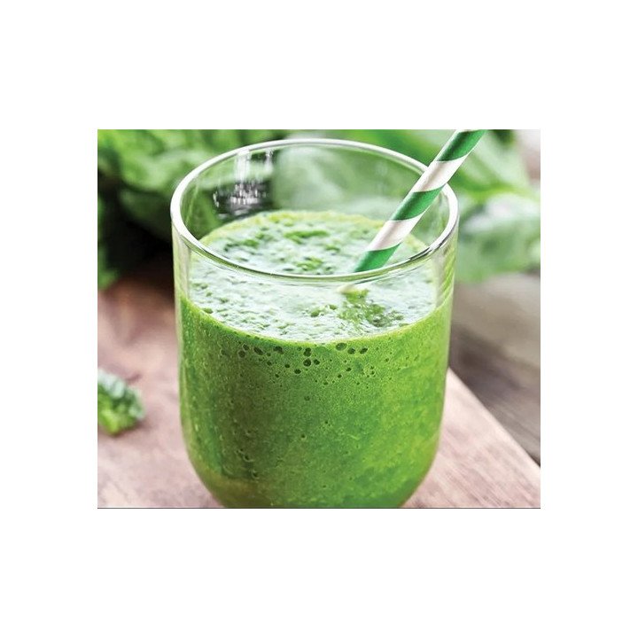 נינג'ה בלנדר Ninja Professional Plus Blender Duo with Auto-iQ BN750 12