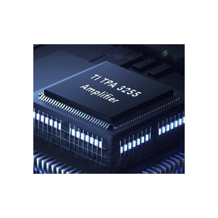 מגבר סטרימינג אלחוטי WiiM Amp