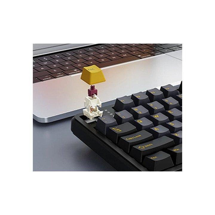 מקלדת גיימינג מכנית אלחוטית Shark Attack X98PRO בצבע Star Black