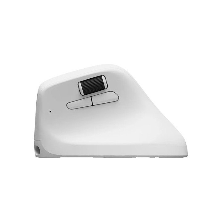 עכבר ארגונומי אלחוטי Keychron M5 Wireless Ergonomic – ממשק USB-A ובלוט