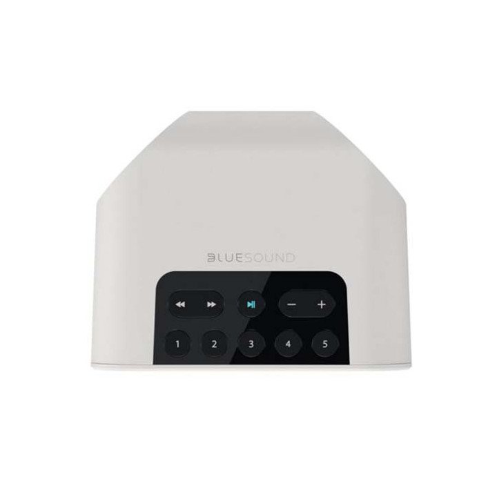 רמקול נייד אלחוטי לסטרימינג Bluesound PULSE FLEX 2I בצבע לבן