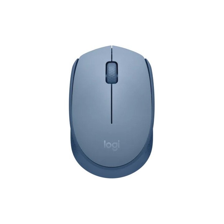 עכבר אלחוטי Logitech Wireless M172 בצבע כחול