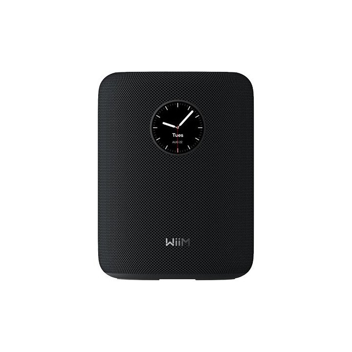 רמקול בלוטוס אלחוטי חכם עם מסך מגע וסטריאו WiiM Sound Smart Speaker