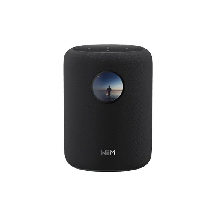 רמקול בלוטוס אלחוטי חכם עם מסך מגע וסטריאו WiiM Sound Smart Speaker