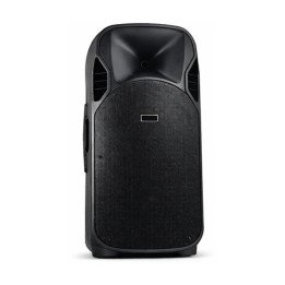בידורית כפולה DANNA 160W עם זוג סאב וופרים 15 אינץ' מיקסר מובנה מיקרופ