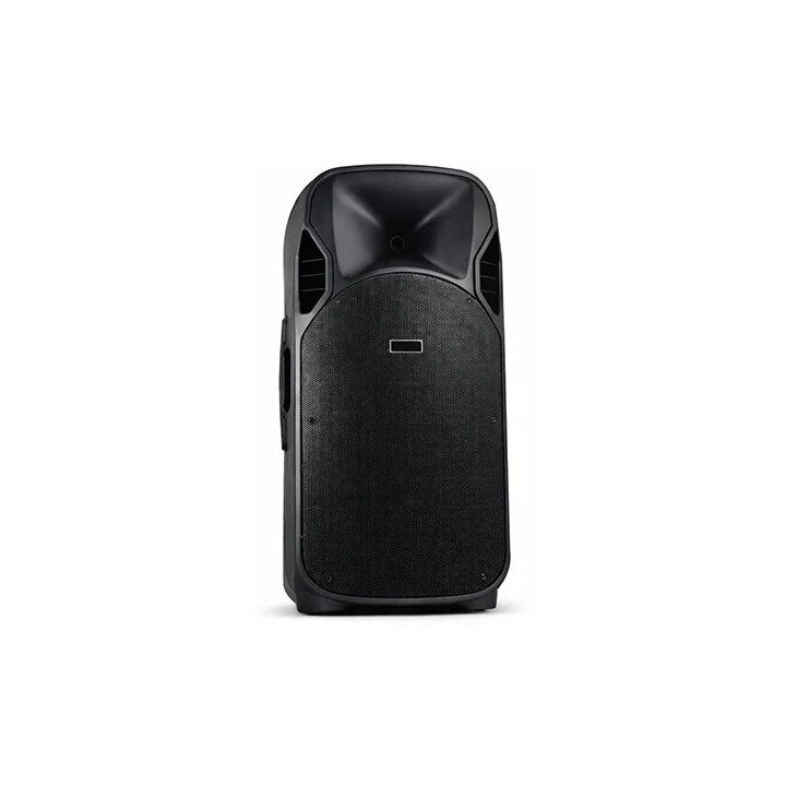 בידורית כפולה DANNA 160W עם זוג סאב וופרים 15 אינץ' מיקסר מובנה מיקרופ