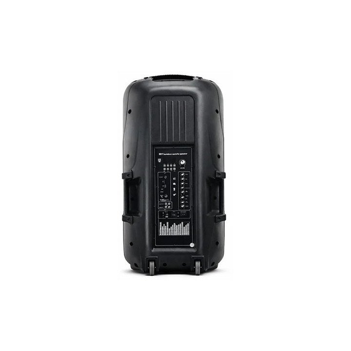 בידורית כפולה DANNA 160W עם זוג סאב וופרים 15 אינץ' מיקסר מובנה מיקרופ