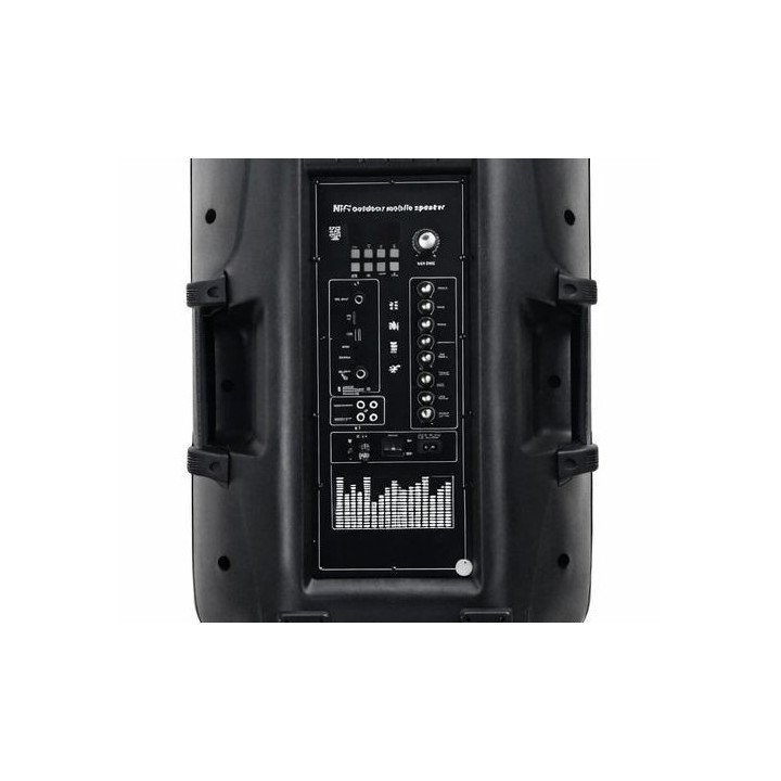בידורית כפולה DANNA 160W עם זוג סאב וופרים 15 אינץ' מיקסר מובנה מיקרופ