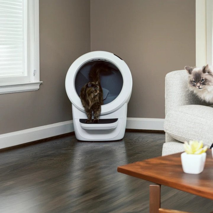שירותים רובוטיים לחתולים Litter-Robot 4 בצבע לבן -משלוח חינם