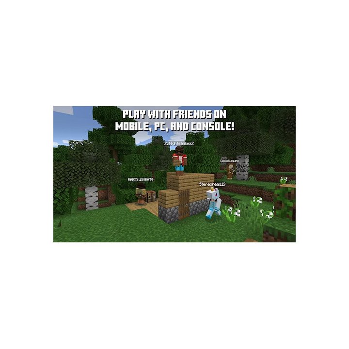 משחק Minecraft Nintendo Switch