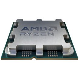מעבד AMD Ryzen 5 9600X Tray